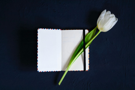 notebook for notes with a white tulip on a blue concrete background, top view, space for textの写真素材