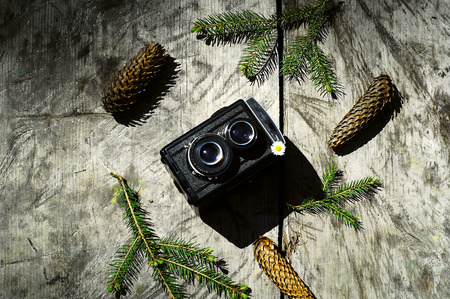 vintage camera on a gray wooden background in the forest, the concept of wildlife,copy space, close-upの写真素材