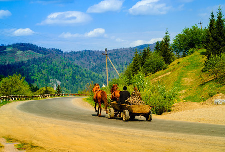 Horses with wooden trolley on the road against the background of mountains, concept of pets in the natural environment, close-up, copy spaceの写真素材
