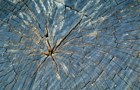 cracked wooden background of natural wood, concept of natural materials, close-up, copy space,