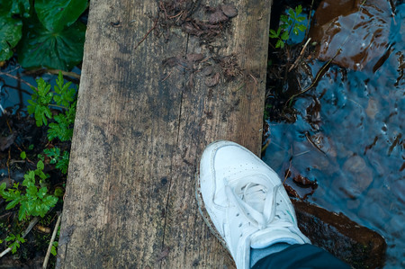 white female sneaker on her feet outdoors stands on wooden plank on  stone in the water. Sneakers...