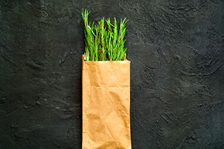 Organic food cooking concept with fresh rosemary on dark background, natural light, copy space, closeup,の写真素材