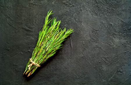Organic food cooking concept with fresh rosemary on dark background, natural light, copy space, closeup,の写真素材