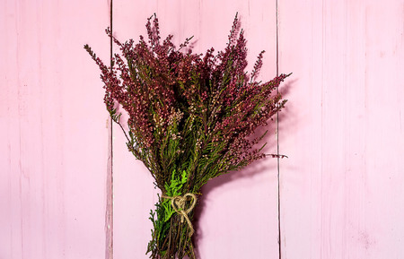 flowers heather on pink wooden background, close up,copy spaceの写真素材