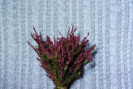 Home decor, flowers heather on background of knitted clothes. Hygge Style, concept of comfort, close up,copy spaceの写真素材
