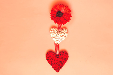 Love or Valentines Day concept. Creative paper background of coral gerbera and hearts, trendy...