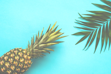 Tropical background with pineapple. Palm leaves on blue background