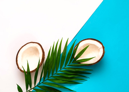 Tropical background with coconut halves. Palm leaves on blue background