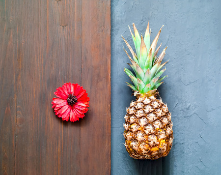 Tropical background with pineapple and gerbera flower. Copy space. Closeup, top view.の写真素材