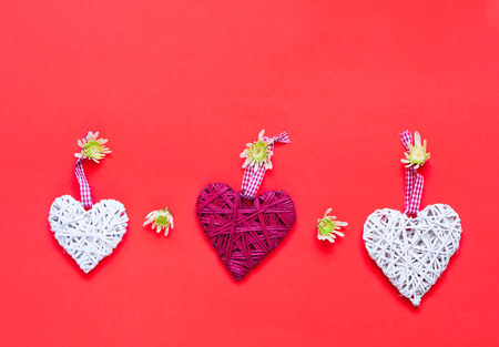 Chrysanthemums and decorative hearts on coral background. Festive decor. Copy space Close-up, top...
