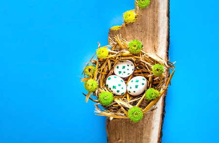 Festive easter background. White eggs with spring flowers on straw texture.
