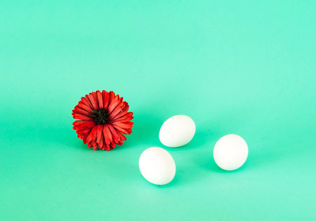 Festive easter background. White eggs with gerbera flower on a light green background. Close up,...