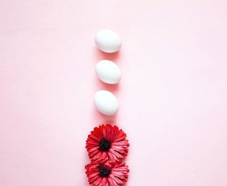 Festive easter background. White eggs with gerbera flower on pastel pink background. Close up, copy...