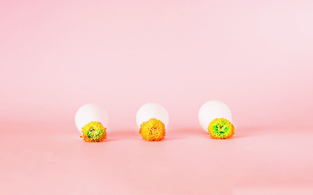 Festive easter background. White eggs with  flower on pastel pink background. Close up, copy space. Minimalism.の写真素材