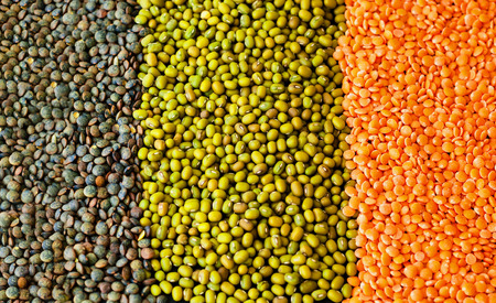 Food background from cereals and legumes. Healthy eating concept.の写真素材