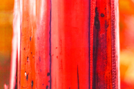 Natural Bamboo Background. Trendy color 2019. Copy space closeupの写真素材