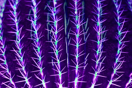 Cactus floral background. Living Green. Trendy color 2019.Copy space closeupの写真素材