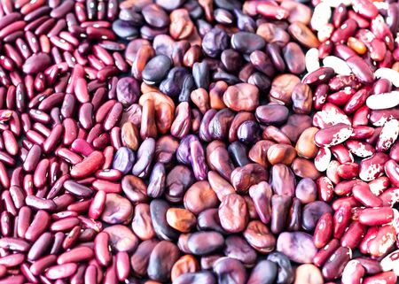 Food background of purple beans. Healthy eating concept. Close-up, copy spaceの写真素材