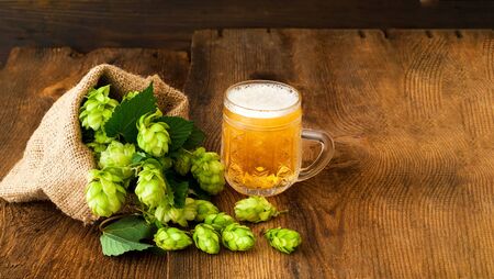 Mug of beer mit fresh hop on wooden background. Oktoberfest beer festival concept. Close-up