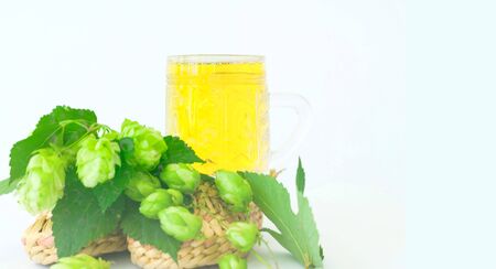 Mug of beer mit fresh hops. Oktoberfest beer festival concept. Blurred effect. Close-up, copy spaceの写真素材