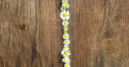Autumn decor. Daisy flowers on wooden background. Natural surface texture for design. Close-up, copy spaceの写真素材