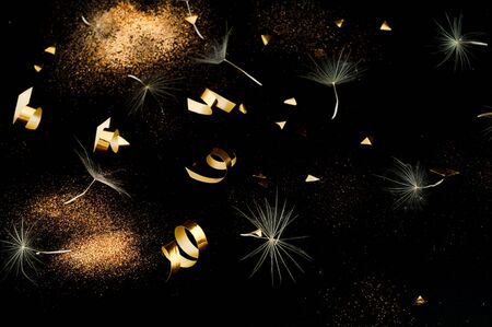White Dandelion inflorescences on Black background with golden sparkles. Concept for festive...