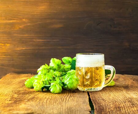 Mug of beer mit fresh hop on wooden background. Oktoberfest beer festival concept. Close-upの写真素材