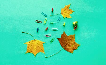Office supplies on mint background with autumn leaves. Trendy colour of the year 2020. Close-up, copy spaceの写真素材
