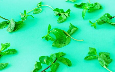 Fresh mint background. Trendy colour of the year 2020. Close-up, copy spaceの写真素材
