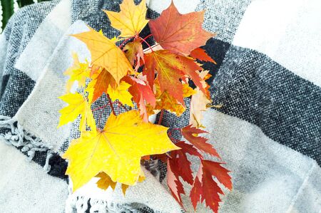 Yellow leaves on checkered plaid. Autumn decor. Hygge style. Close-up