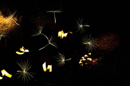 White Dandelion inflorescences on Black background with golden sparkles. Concept for festive background or for project.Close-upの写真素材