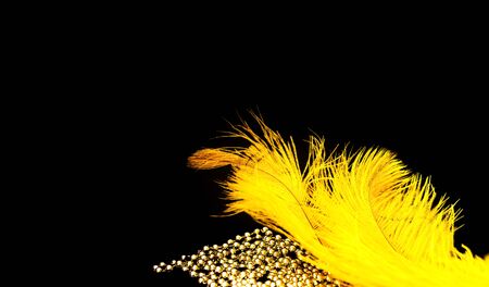 Yellow ostrich feathers on black background with silver beads. Mardi Gras concept. Festive background for projects. Close-up, copy spaceの写真素材