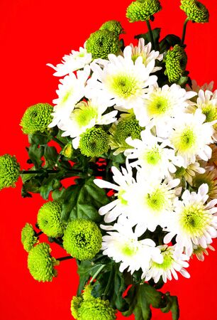 Floral style.Bouquet of flowers from white lily and green chrysanthemum. Festive decor. Close-upの写真素材