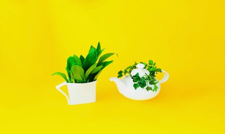 White ceramic teapot and cup with ecological plants on yellow background. Zero waste concept. Close-up, copy spaceの写真素材