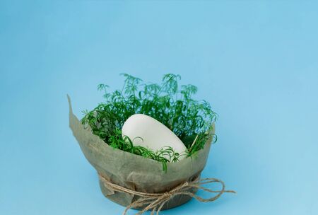 Natural soap with the addition of herbal ingredients on blue background.Biophilic design or Coronavirus Protection. Close-upの写真素材