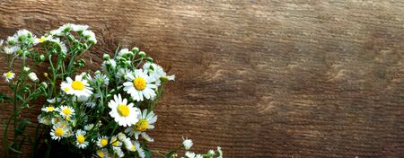 Daisy flowers for Mother's day on wooden background. Concept for festive background or for project.Close-up. Copy spaceの写真素材
