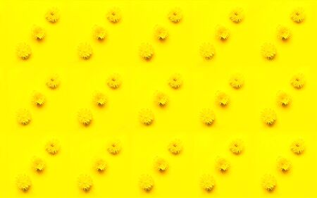 Pattern mit yellow dandelion flowers on yellow background. Hello Summer concept. Creative copy space, monochrome texture.の写真素材