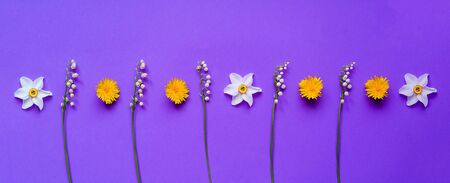 Creative purple background of lilies of the valley and yellow dandelions. Summer equinox or hello summer concept. Close-up. Creative copy space.の写真素材
