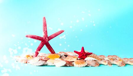 Red starfish against the background of seashells. Summer time or hello summer. Creative copy space, close-upの写真素材