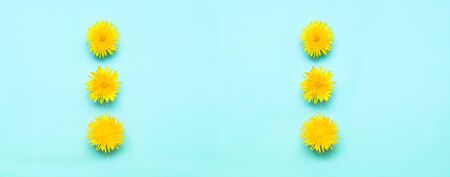 Pattern mit yellow dandelion flowers on blue background. Hello Summer concept.の写真素材