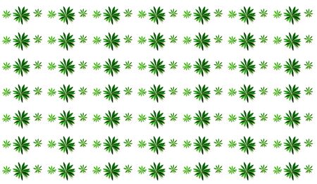 Pattern from green leaves on white background. Minimal Summer concept. Creative copy space for design. Close-upの写真素材