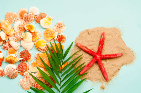 Red starfish against the background of seashells. Summer time or hello summer. Creative copy space, close-upの写真素材