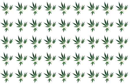 Pattern of cannabis on white background. Botanical design in organic style. Creative copy space. Close-upの写真素材