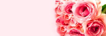 Modern floral background. Biophilic design or colors of nature. Close-up of rose petals. Mood Boosting Color.の写真素材