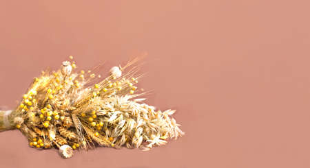Creative layout from dried flowers and natural dry cereals on beige background. Savior of the Honey Feast Day or Healing colors of nature. Close-upの写真素材