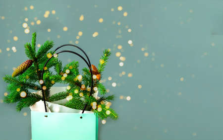 Fir branch with cones in green bag on gray background. Shopping concept for Christmas or New Year. Creative copy space. Close-upの写真素材