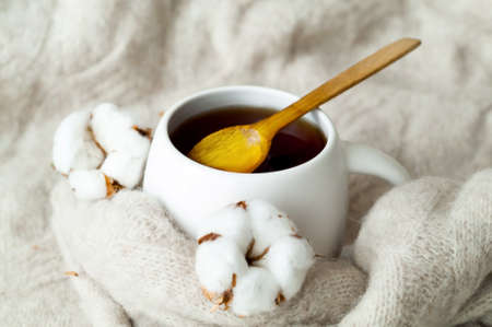White cup tea on knitted texture with dried cotton. Cozy breakfast in Scandinavian. Christmas...