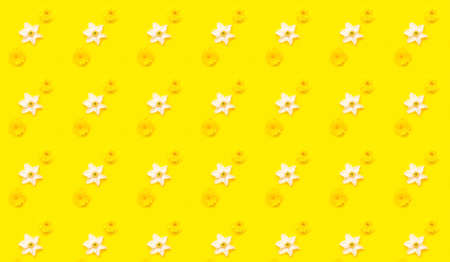 Wildflowers on yellow background. Creative space for your design. Minimalist style