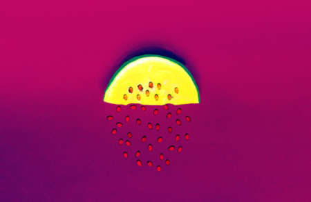 Slice of yellow watermelon with brown seeds on light shade of wildberry background. Summer Color...