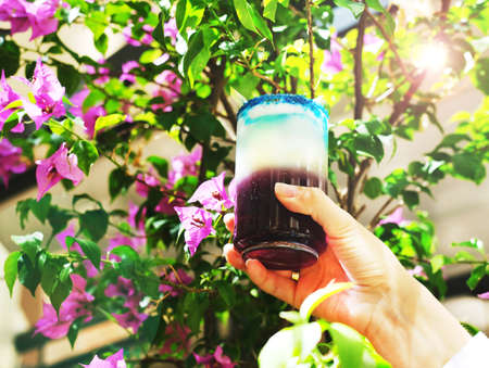 Lavander Fizz, cocktail based on refreshing gin with saffron foam of lavender color. Drinking glass...